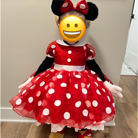 Disney Minnie Mouse Costume - Picture 1 of 6